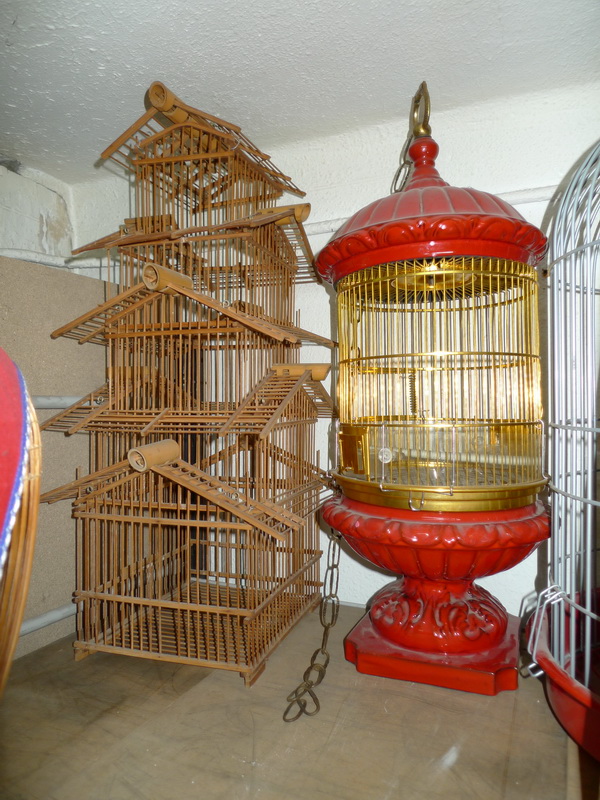 jaula pajaro